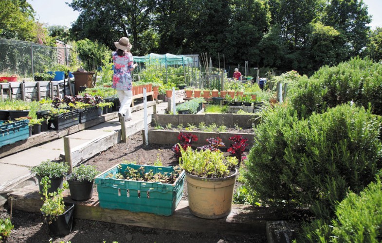 How does your garden grow... - appetite magazine