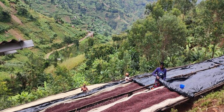 Baristocracy Burundi
