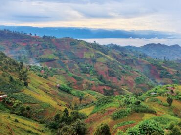 Baristocracy Burundi