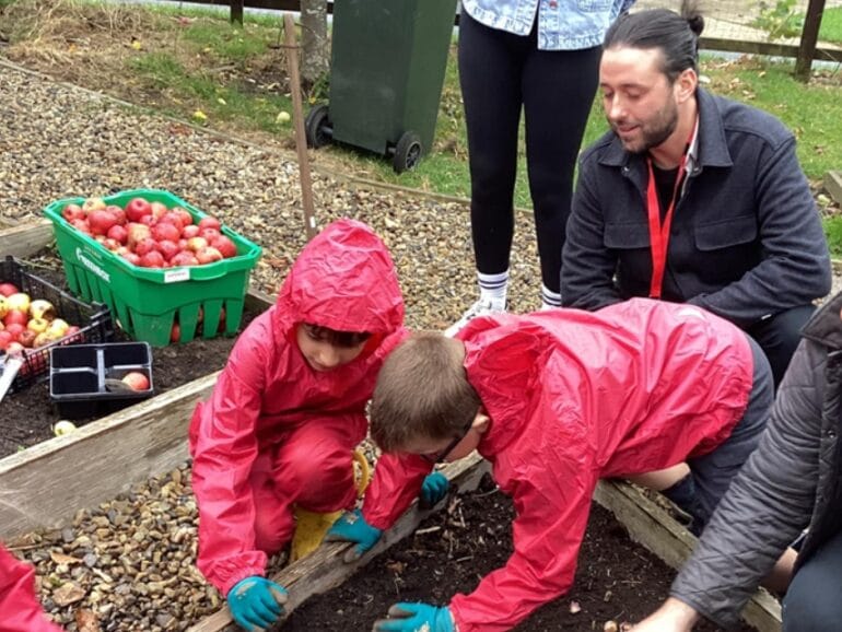 Pine at Wylam First School