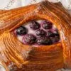 PureKnead pastry