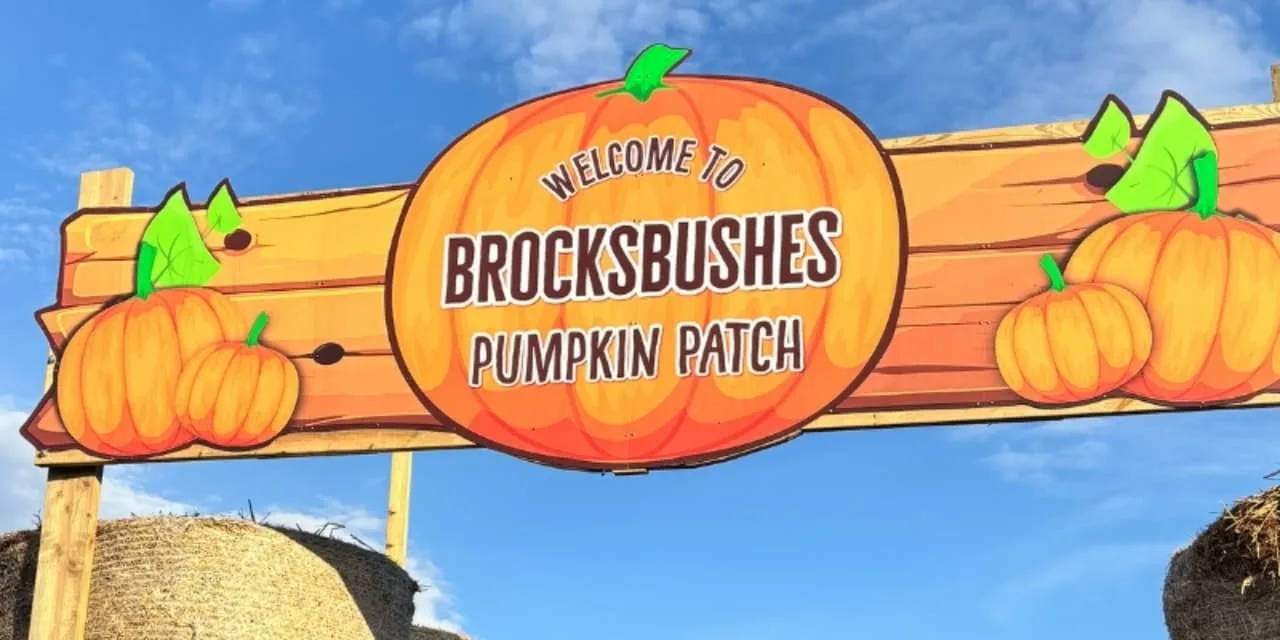 Brocksbushes pumpkin patch