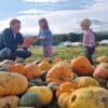 Brocksbushes pumpkin patch