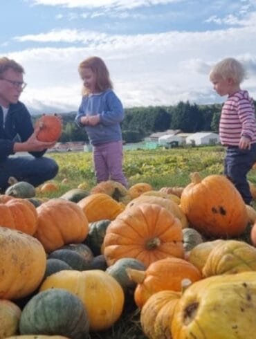 Brocksbushes pumpkin patch