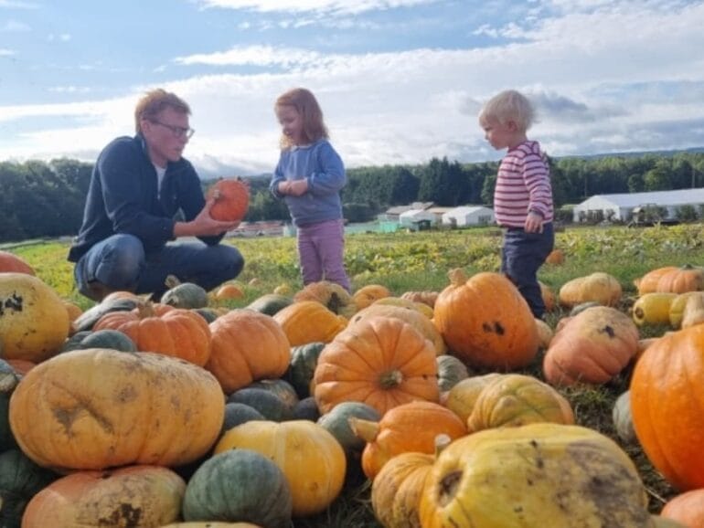 Brocksbushes pumpkin patch