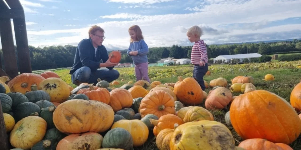 Brocksbushes pumpkin patch