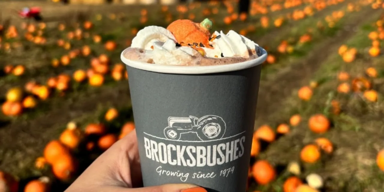Brocksbushes pumpkin patch