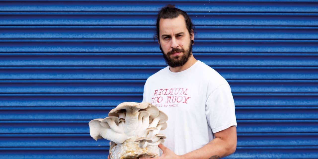 By The Bay Mushroom Co