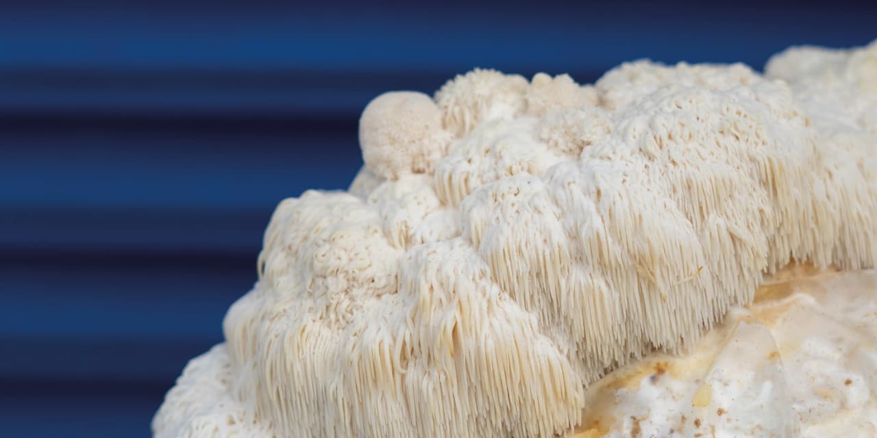 By The Bay Mushroom Co