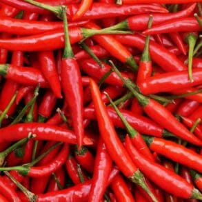 Chillies