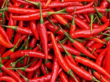 Chillies