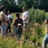 Dalton Moor Farm foraging event