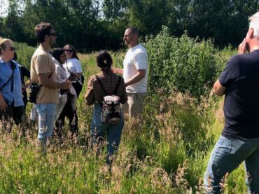 Dalton Moor Farm foraging event