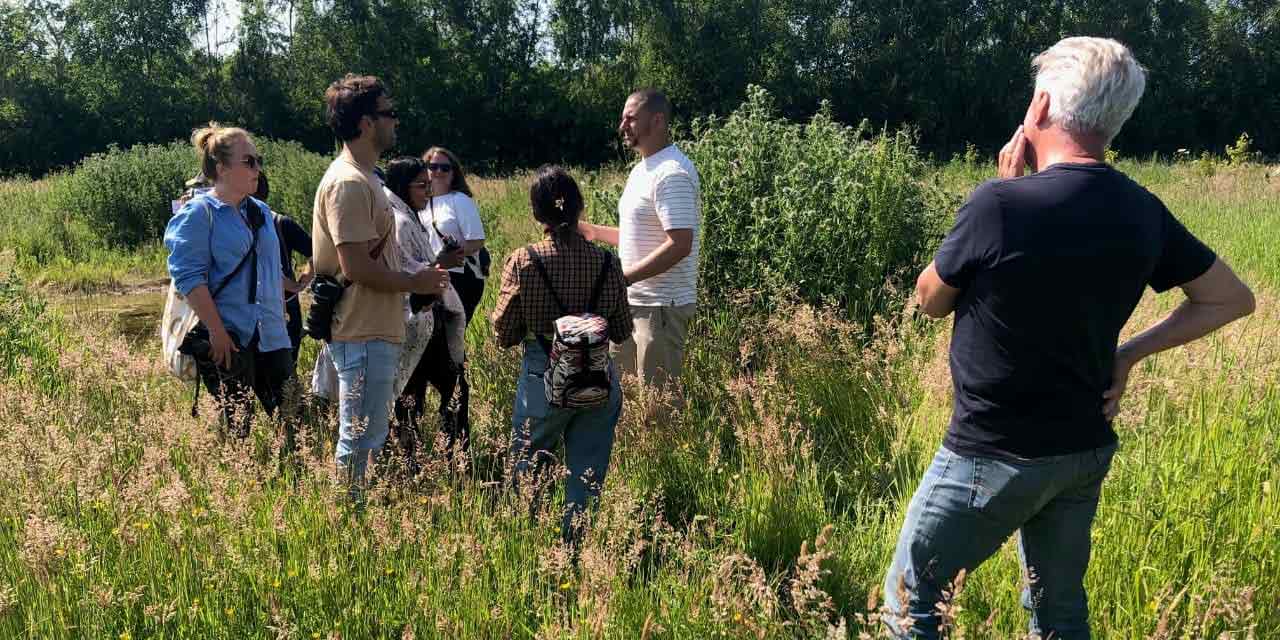 Dalton Moor Farm foraging event