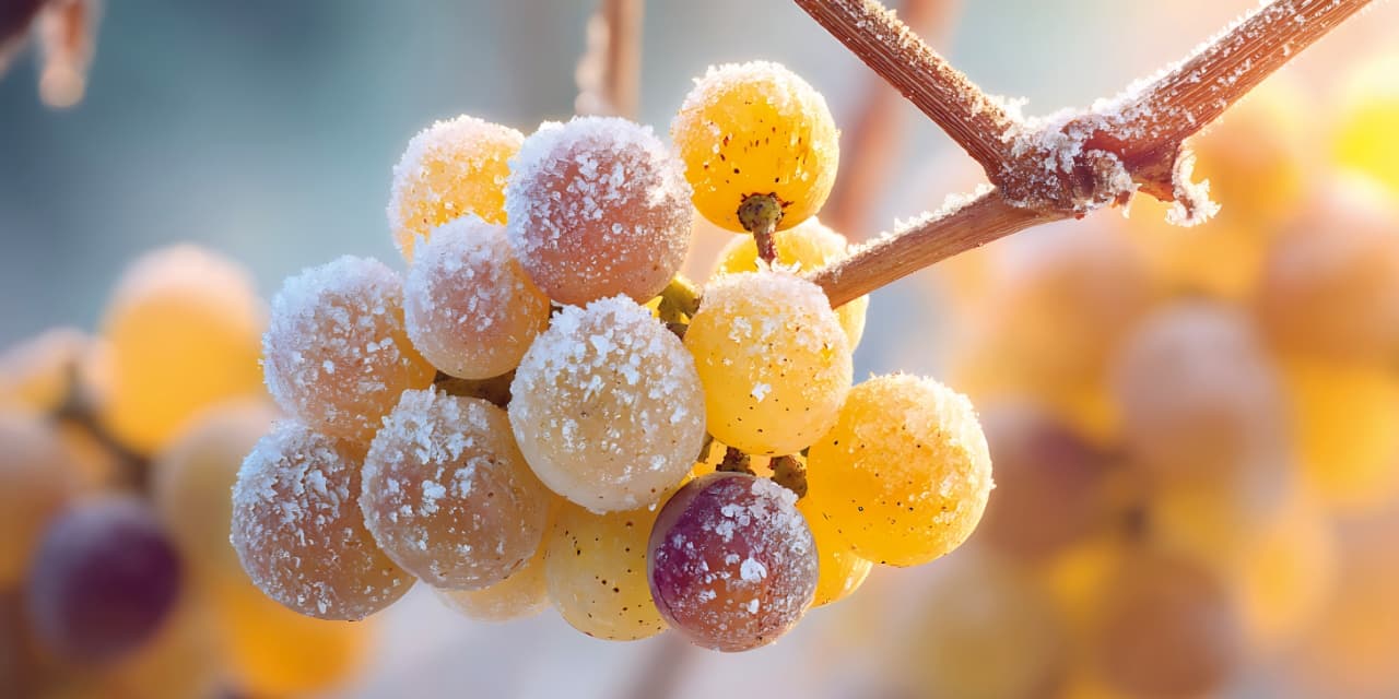 Frozen grapes