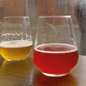 Daisy's Beer Diary Spring 2026