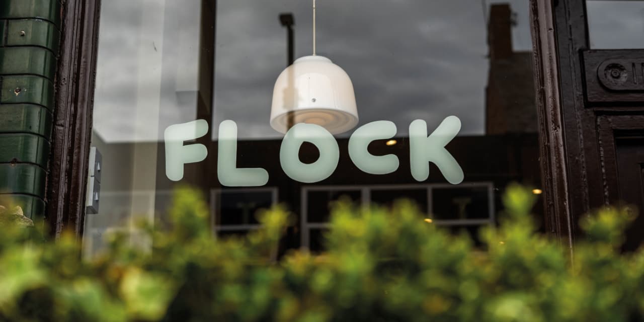 Flock, Whitley Bay