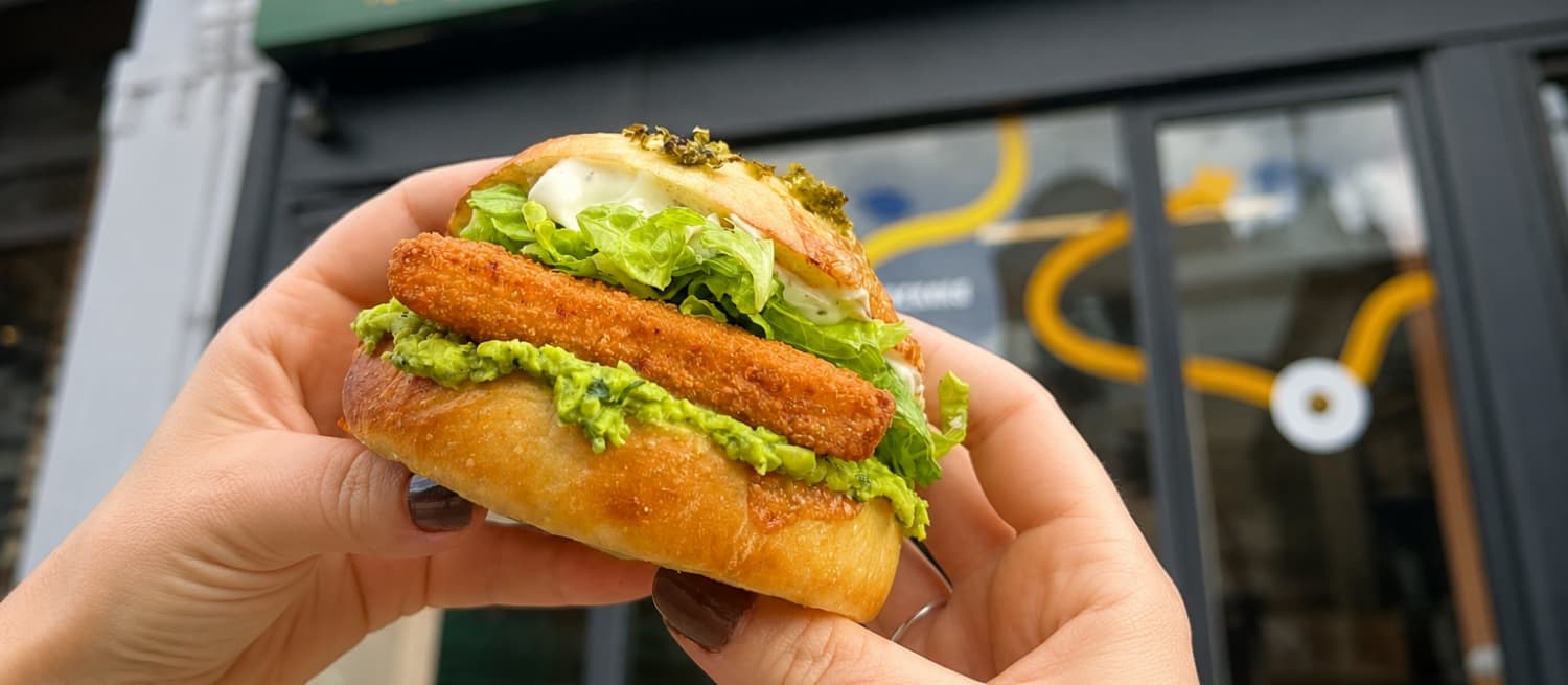Dot Bagels