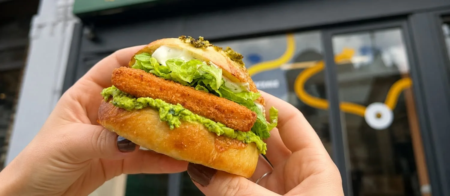 Dot Bagels