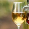 Wine glasses