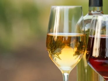 Wine glasses
