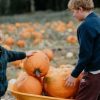Brocksbushes Pumpkin Experience