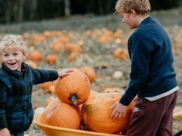 Brocksbushes Pumpkin Experience