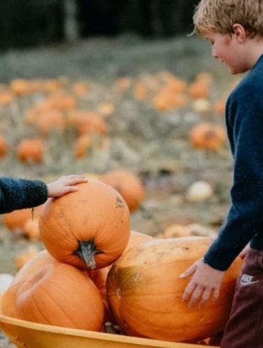 Brocksbushes Pumpkin Experience