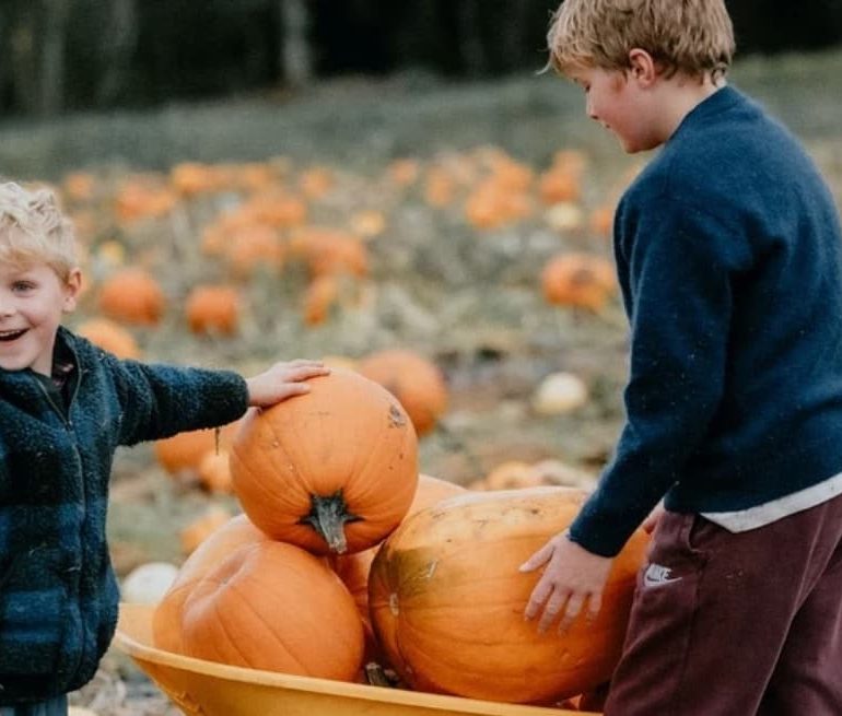 Brocksbushes Pumpkin Experience
