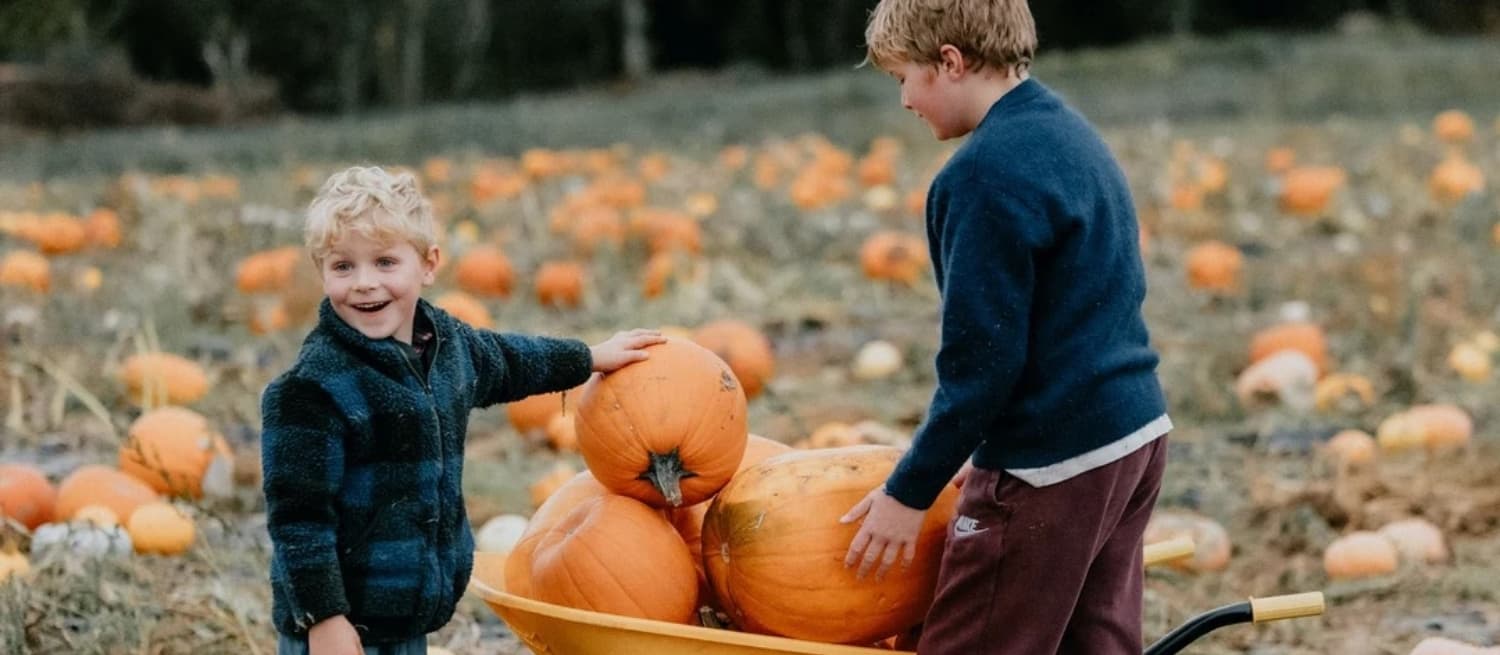 Brocksbushes Pumpkin Experience